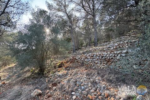 Helårsgrund i Jalon, Alicante, Jalon - € 210.000 | Ref: P-601 - foto 4